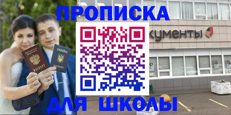 временная регистрация госуслуги в Павловске